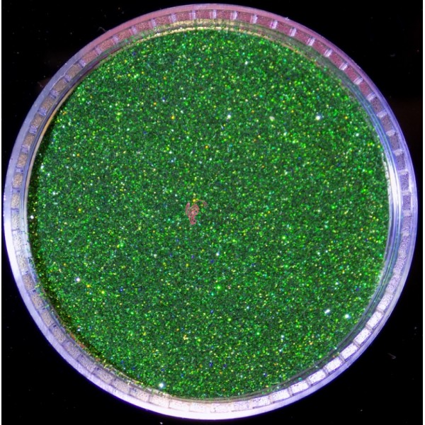 Glitter fin pentru make-up 3gr Sclipici Amelie Pro G079 Emerald cu Reflexii